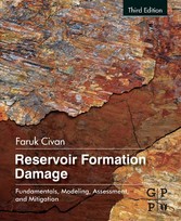 Reservoir Formation Damage