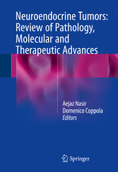 Neuroendocrine Tumors: Review of Pathology, Molecular and Therapeutic Advances