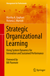 Strategic Organizational Learning