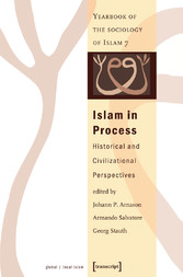 Islam in Process