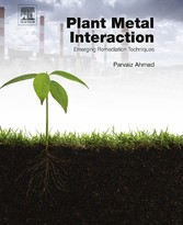 Plant Metal Interaction