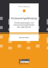 Kindeswohlgefährdung: Handlungsstrategien und Interventionsmöglichkeiten des Jugendamtes