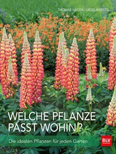 Welche Pflanze passt wohin?