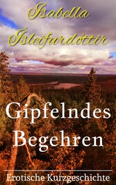 Gipfelndes Begehren