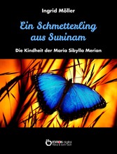 Ein Schmetterling aus Surinam