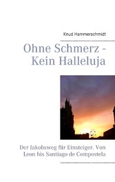 Ohne Schmerz - Kein Halleluja