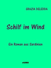 Schilf im Wind