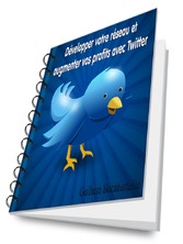 Développer votre réseau et augmenter vos profits avec Twitter