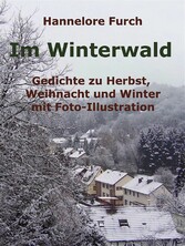 Im Winterwald