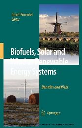 Biofuels, Solar and Wind as Renewable Energy Systems