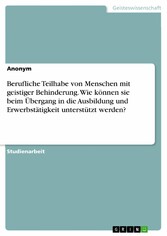 Berufliche Teilhabe von Menschen mit geistiger Behinderung. Wie können sie beim Übergang in die Ausbildung und Erwerbstätigkeit unterstützt werden?