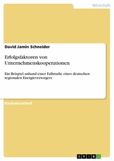 Erfolgsfaktoren von Unternehmenskooperationen