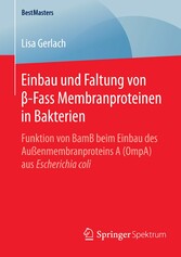 Einbau und Faltung von ?-Fass Membranproteinen in Bakterien