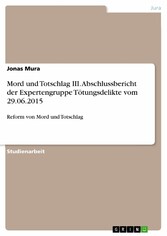 Mord und Totschlag III. Abschlussbericht der Expertengruppe Tötungsdelikte vom 29.06.2015