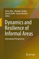 Dynamics and Resilience of Informal Areas