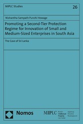 Promoting a Second-Tier Protection Regime for Innovation of Small and Medium-Sized Enterprises in South Asia