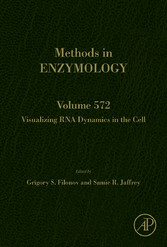 Visualizing RNA Dynamics in the Cell