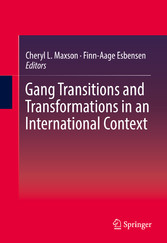 Gang Transitions and Transformations in an International Context