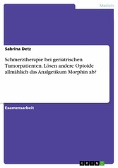 Schmerztherapie bei geriatrischen Tumorpatienten. Lösen andere Opioide allmählich das Analgetikum Morphin ab?