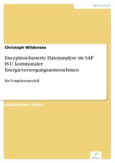 Exception-basierte Datenanalyse im SAP IS-U kommunaler Energieversorgungsunternehmen