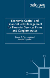 Economic Capital and Financial Risk Management for Financial Services Firms and Conglomerates