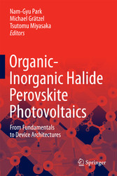 Organic-Inorganic Halide Perovskite Photovoltaics