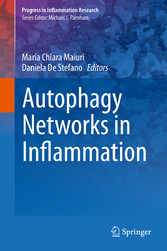 Autophagy Networks in Inflammation