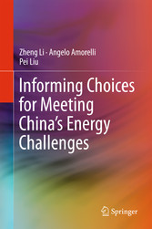 Informing Choices for Meeting China's Energy Challenges