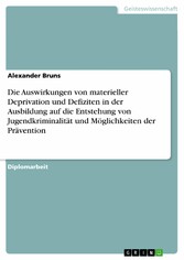 Die Auswirkungen von materieller Deprivation und Defiziten in der Ausbildung auf die Entstehung von Jugendkriminalität und Möglichkeiten der Prävention