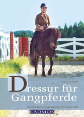 Dressur für Gangpferde