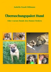 Überraschungspaket Hund