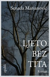 Ljeto bez Tita