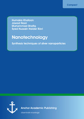 Nanotechnology. Synthesis techniques of silver nanoparticles