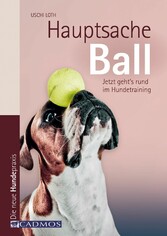 Hauptsache Ball