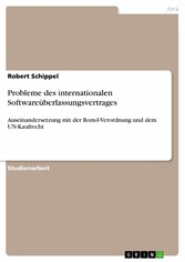 Probleme des internationalen Softwareüberlassungsvertrages