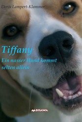 Tiffany,  ein nasser Hund kommt selten allein