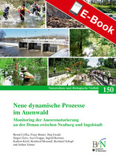 Neue dynamische Prozesse im Auenwald