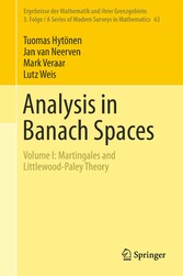 Analysis in Banach Spaces