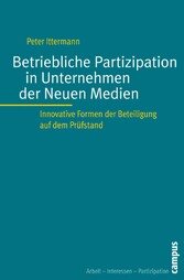 Betriebliche Partizipation in Unternehmen der Neuen Medien