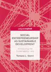 Social Entrepreneurship as Sustainable Development