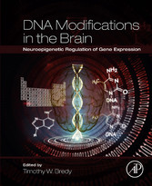 DNA Modifications in the Brain