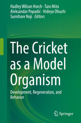 The Cricket as a Model Organism