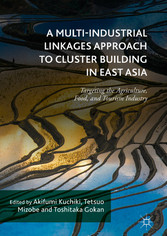 A Multi-Industrial Linkages Approach to Cluster Building in East Asia