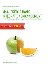 M&A: Erfolg dank Integrationsmanagement