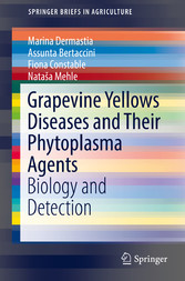 Grapevine Yellows Diseases and Their Phytoplasma Agents