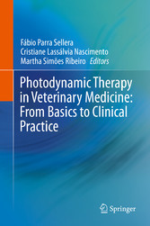 Photodynamic Therapy in Veterinary Medicine: From Basics to Clinical Practice