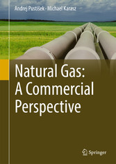 Natural Gas: A Commercial Perspective