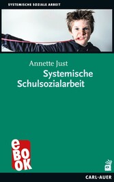 Systemische Schulsozialarbeit