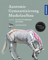 Anatomie, Gymnastizierung, Muskelaufbau