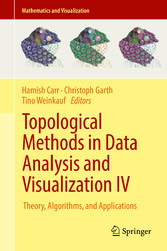 Topological Methods in Data Analysis and Visualization IV